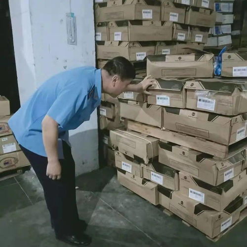九原區市場監督管理局強化食品流通監管，專項檢查日用雜品批發環節